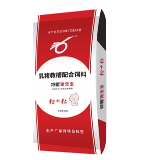 豬寶寶
